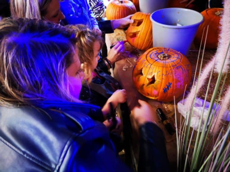 Billet Atelier enfant citrouille Halloween chez Truffaut Deauville (14)