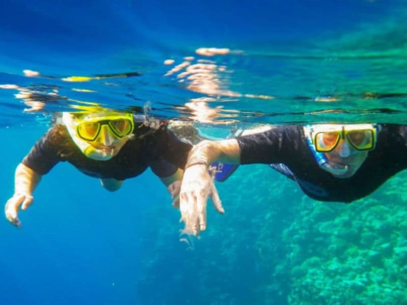 Billet Randonnée palmée aux Iles Sanguinaires (20)