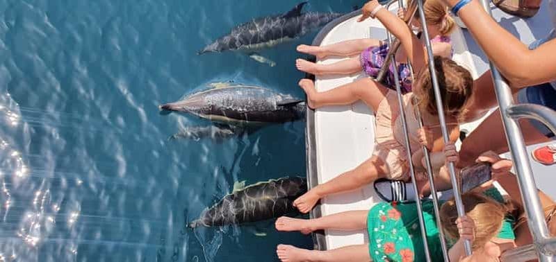 Billet Depuis Lagos : Croisière en catamaran pour observer les dauphins