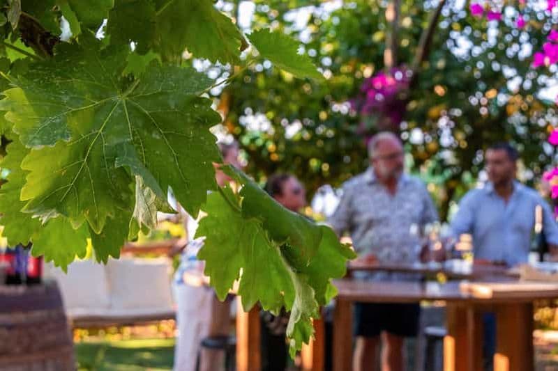 Billet Sorrente : Dégustation de vin dans une citronneraie avec vue sur la mer