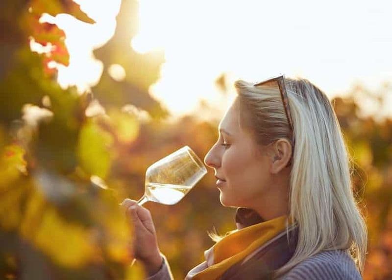 Billet Silves : Visite des vignobles algarviens et dégustation