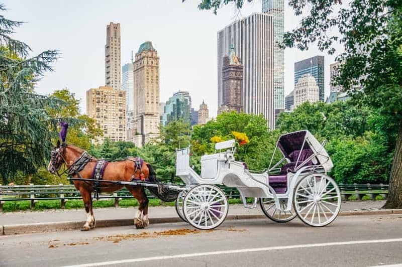Billet New York : balade guidée en calèche à Central Park
