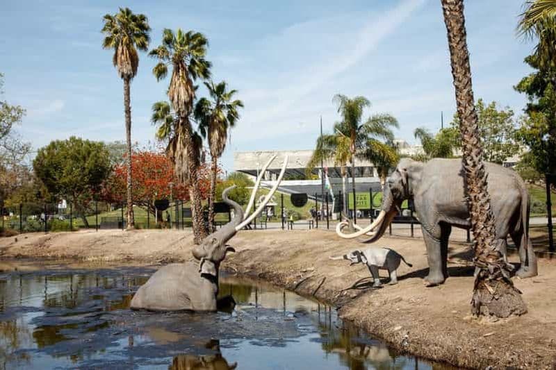 Billet Los Angeles : billet pour le musée La Brea Tar Pits