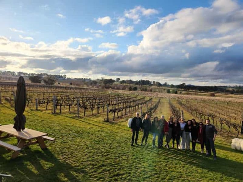 Billet Visite d'une demi-journée des vignobles de Canberra à Murrumbateman