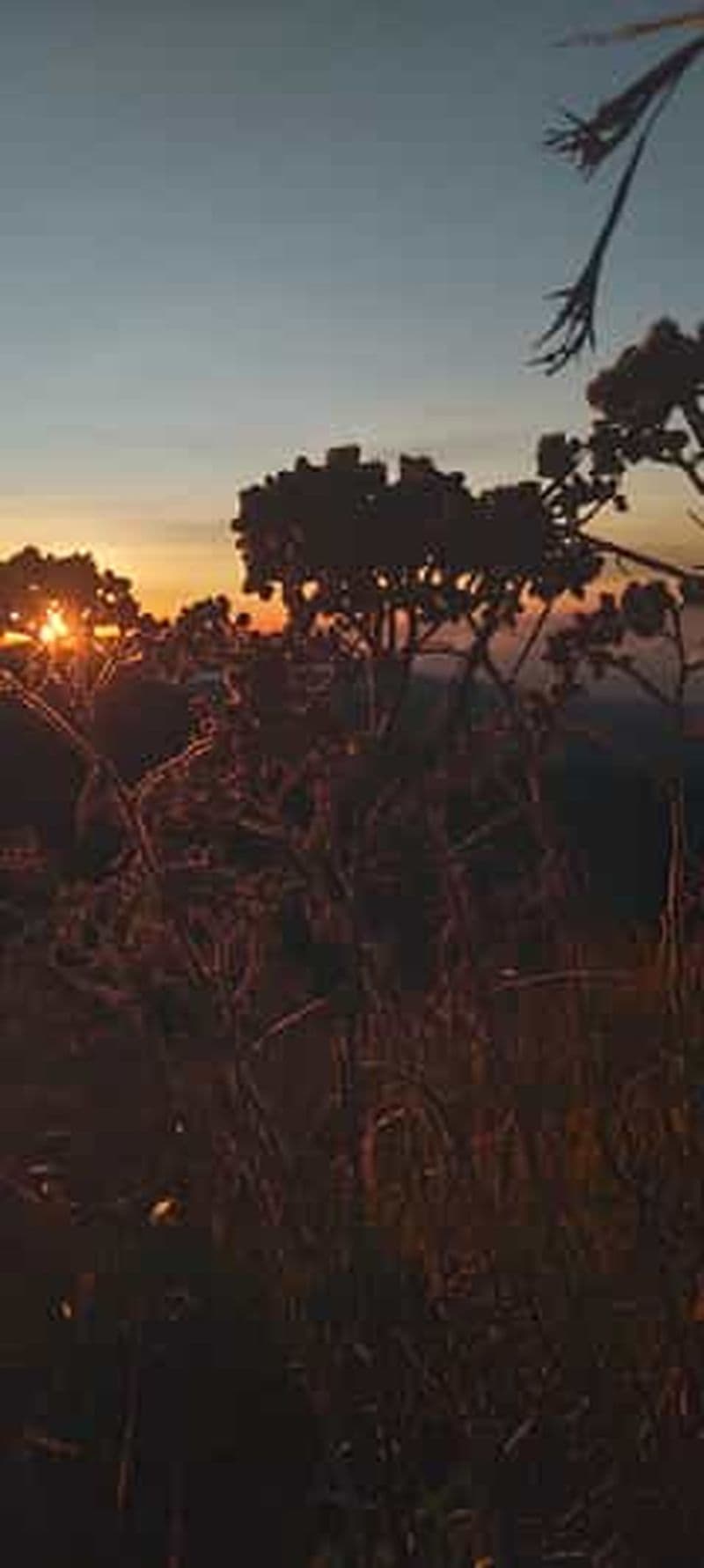 Billet Trek sur le mont Sangkareang (deuxième sommet du Rinjani, 2 jours et 1 nuit)