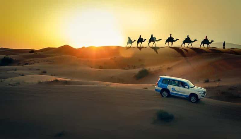 Billet Doha : safari au coucher du soleil dans le désert, quad, balade à dos de chameau et sandboard