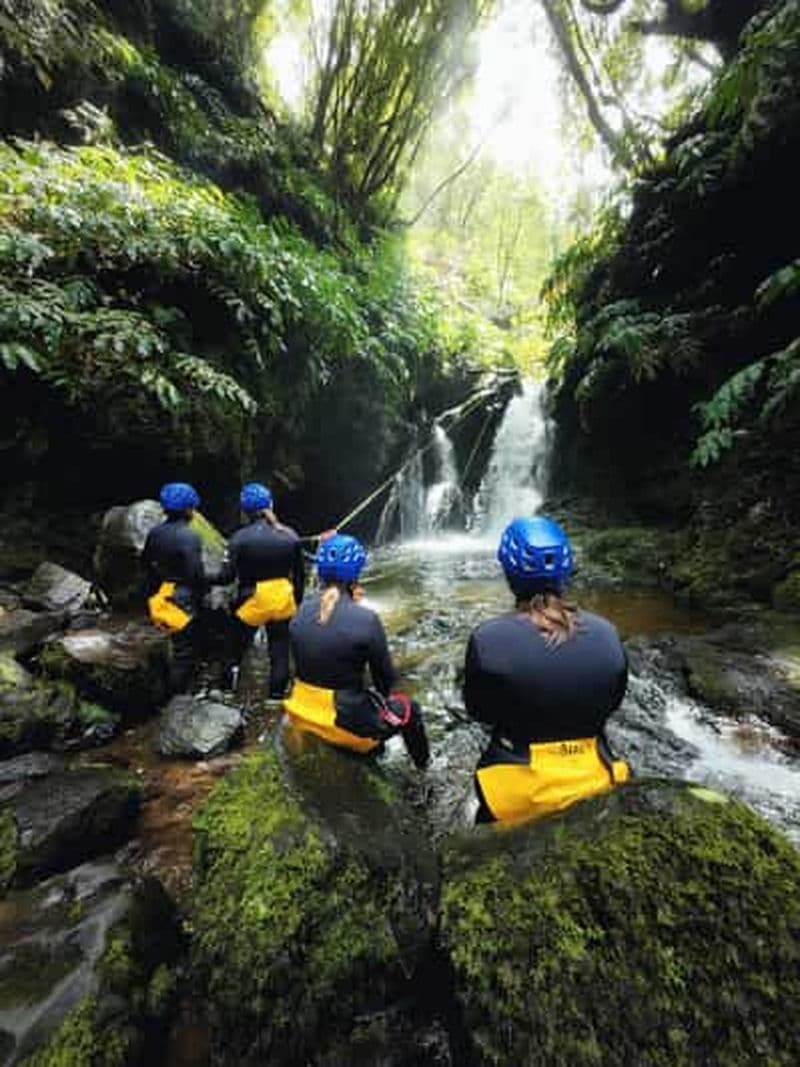 Billet São Miguel : canyoning niveau 1 à Ribeira dos Caldeirões