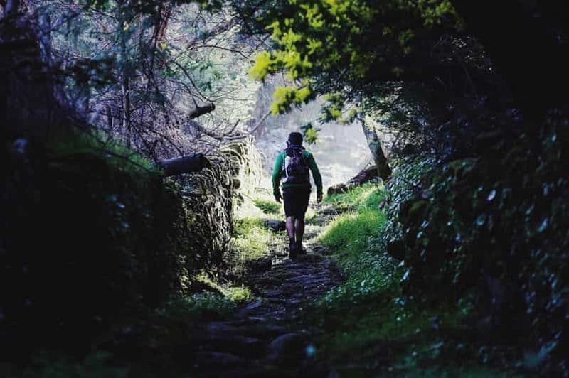 Billet Marvão : randonnée guidée sur la route de la contrebande avec dégustation d'huile d'olive