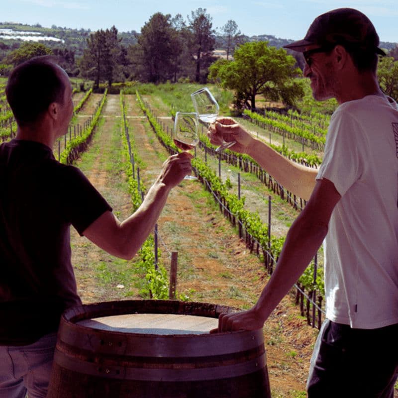 Billet Depuis Albufeira : Visite d'une jounée de dégustation de vins avec un guide