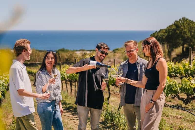 Billet Barcelone : Croisière commentée et visite de vignobles avec dégustation de vins