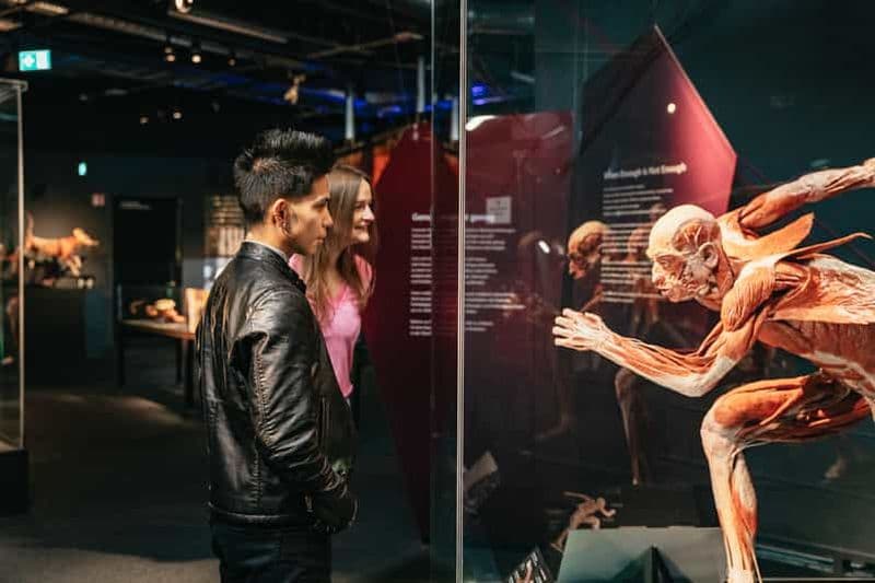 Billet Berlin : billets pour le musée BODY WORLDS à Berlin