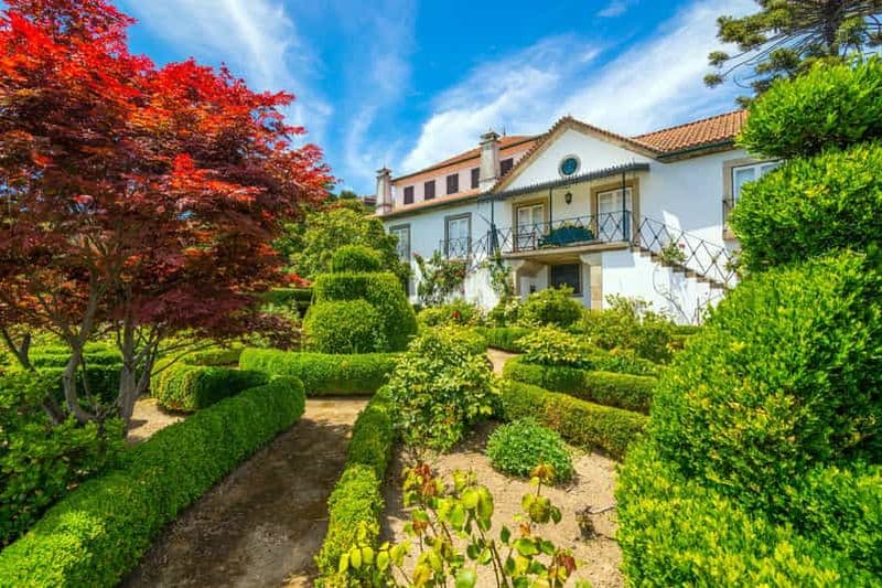 Billet Vallée du Douro : visite de la Quinta Santa Júlia, dégustation de vins et déjeuner