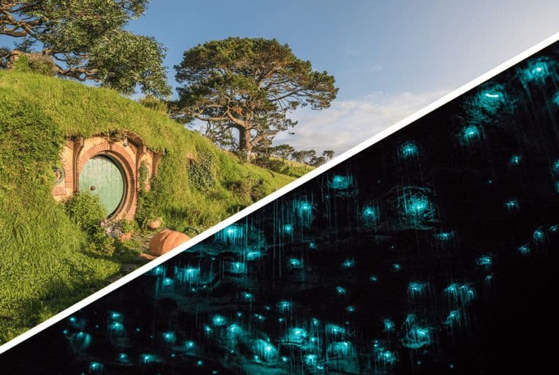 Billet Auckland : visite en petit groupe de Hobbiton et des grottes de Waitomo avec déjeuner