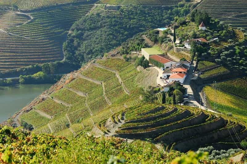 Billet De Peso da Regua : Visite de la vallée du Douro