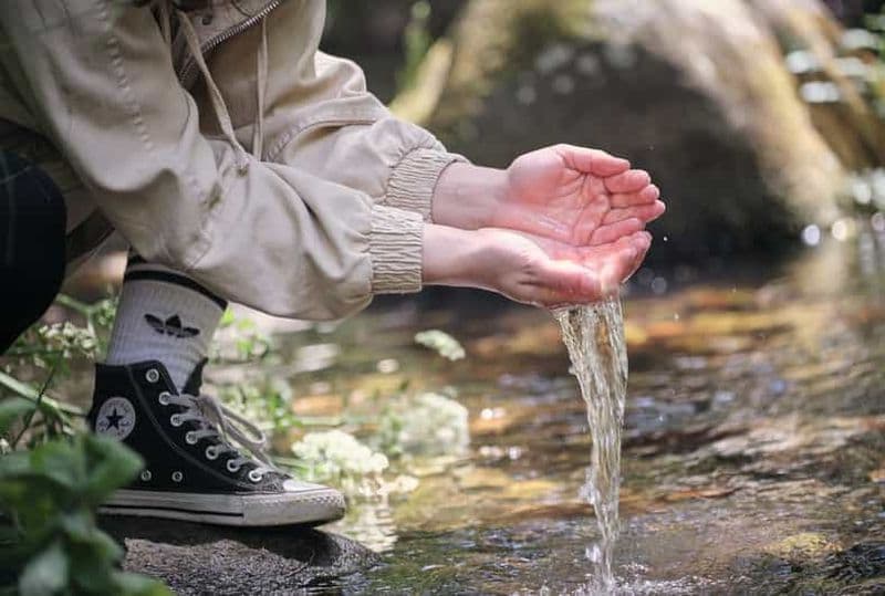 Billet Randonnée dans la nature : Sentiers guidés passant par Marvão