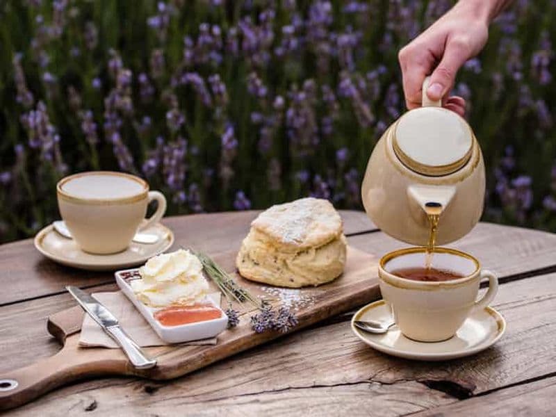 Billet Depuis Penneshaw - Une dégustation de Kangaroo Island