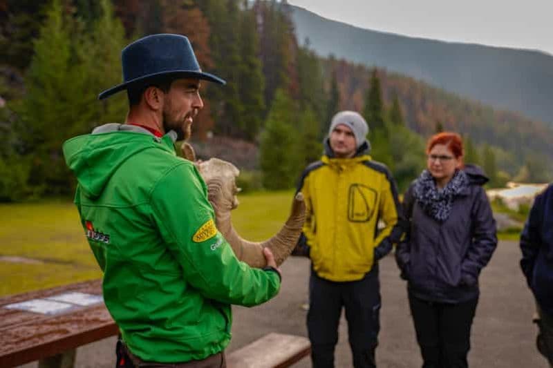 Billet De Jasper : Circuit de découverte de la faune et de la flore du parc national Jasper