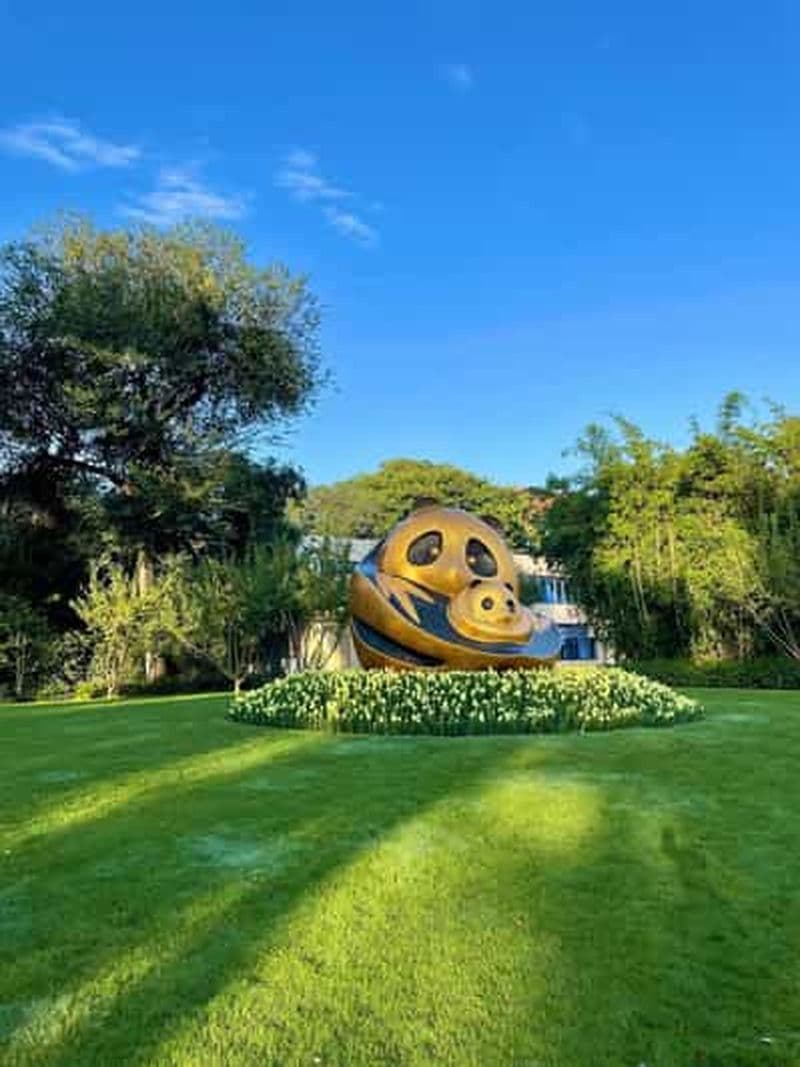 Billet Chengdu : Billet pour la base de recherche sur les pandas ou visite privée avec transfert