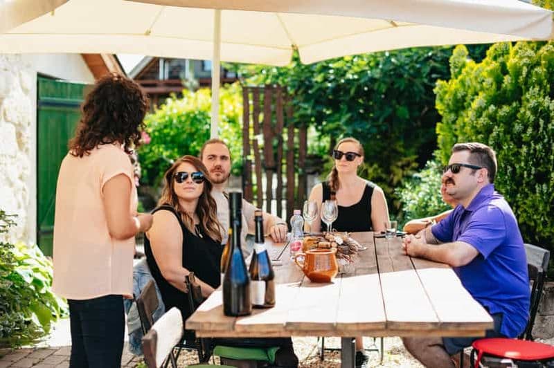 Billet Depuis Budapest : excursion d'une demi-journée dans les vignobles avec repas