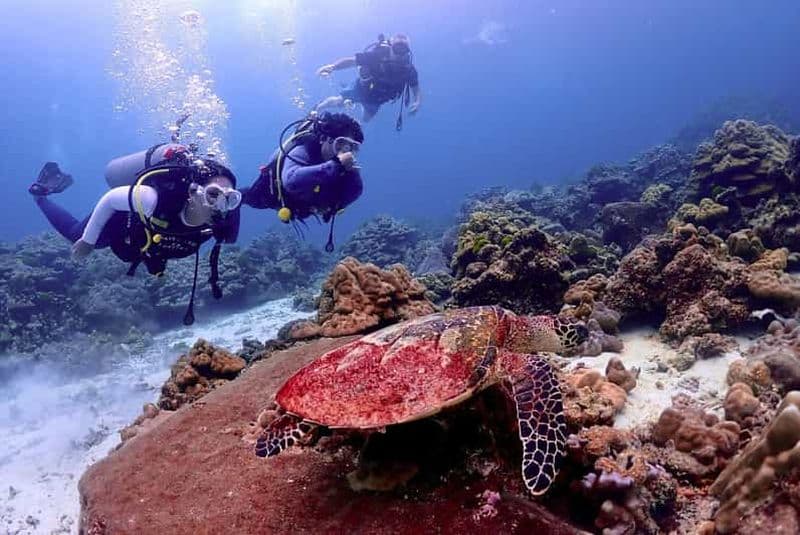 Billet Phuket : Plongée sous-marine aux îles Maithon ou Racha pour tous les niveaux