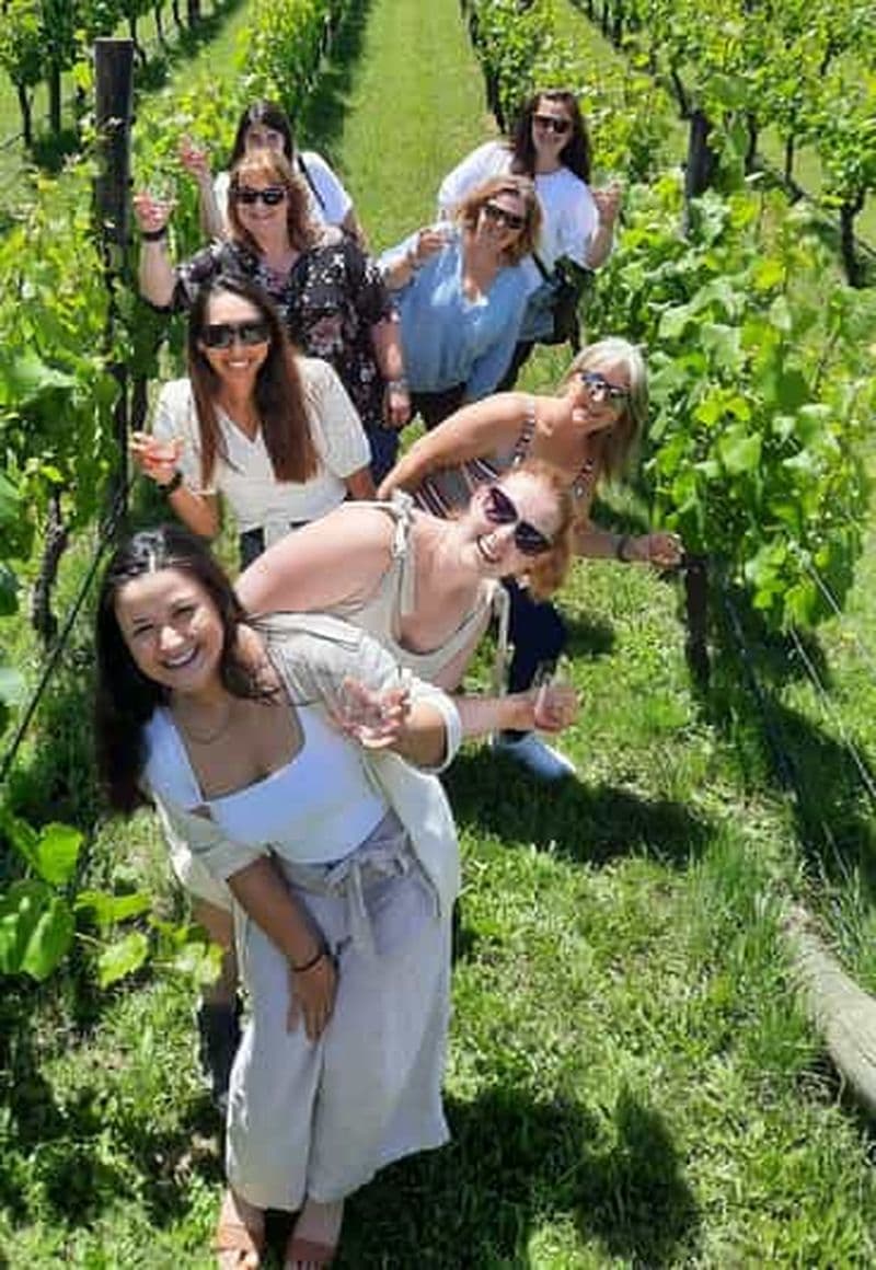 Billet Depuis Wellington : visite des vignobles de Martinborough
