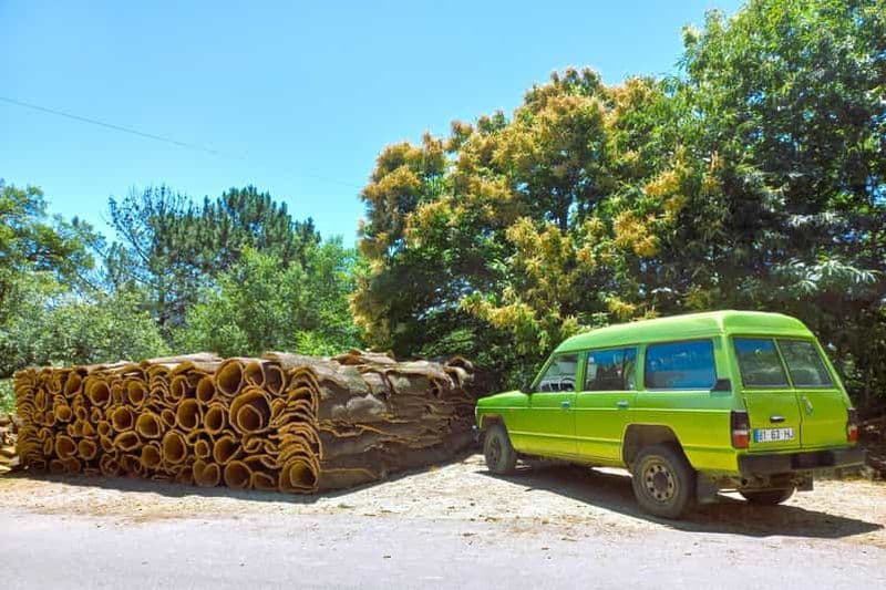 Billet Safari en jeep de demi-journée dans les montagnes avec dégustation d'eau-de-vie