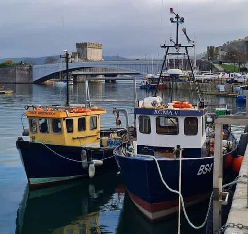 Billet Conwy : visite à pied guidée de la ville de Conwy
