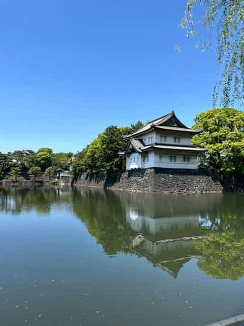 Billet Tokyo : Visite à pied du Palais impérial et du Shogun