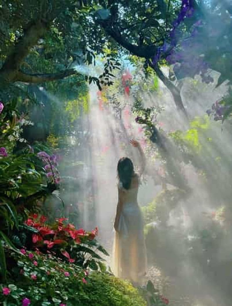 Billet Chiang Mai : visite du café Lalitta et des temples blanc, bleu et rouge