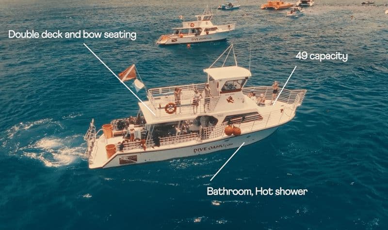 Billet Oahu : Excursion de plongée en apnée dans le canyon des tortues à Honolulu