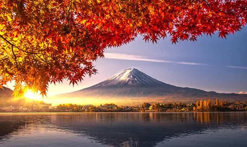 Billet Au départ de Tokyo : Excursion d'une journée au Mont Fuji (4 attractions incontournables)