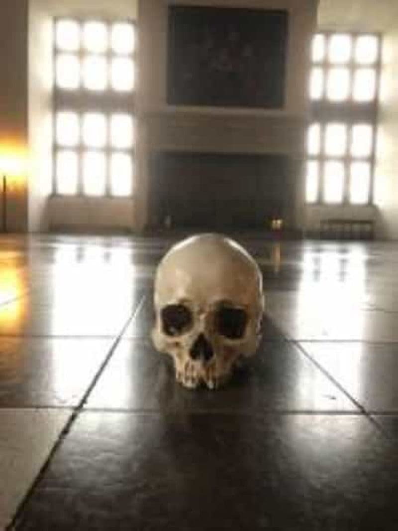 Billet Visite facile du château de Kronbog et du palais de Frederiksborg W