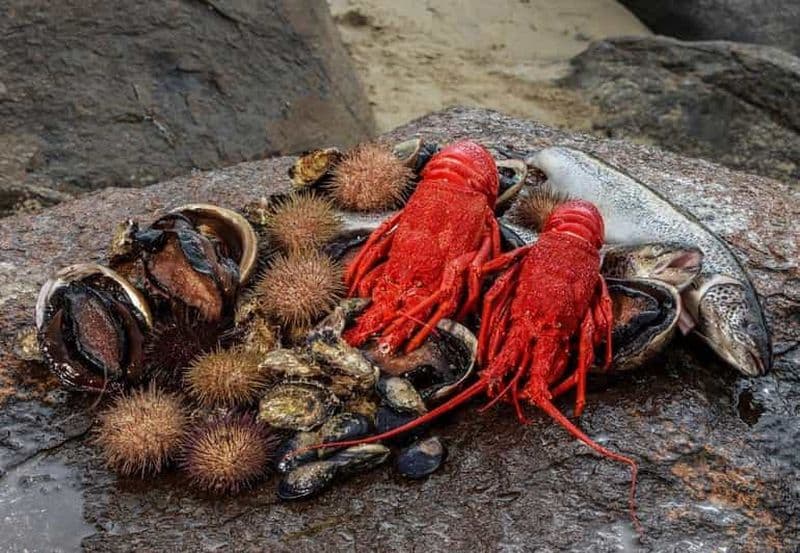 Billet Hobart : Croisière gastronomique d'une journée en Tasmanie pour déguster des fruits de mer