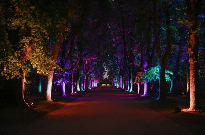 Billet Porto : Serralves Em Luz Immersive Light Show billet d'entrée