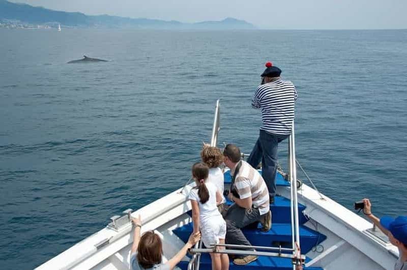 Billet Aquarium de Gênes : billet et croisière aux baleines