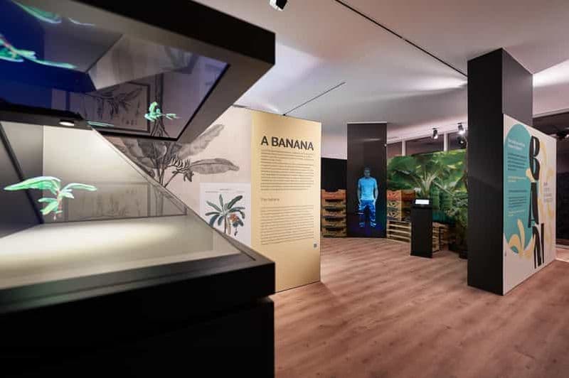 Billet Ponta Do Sol : visite guidée du musée de la banane de Madère