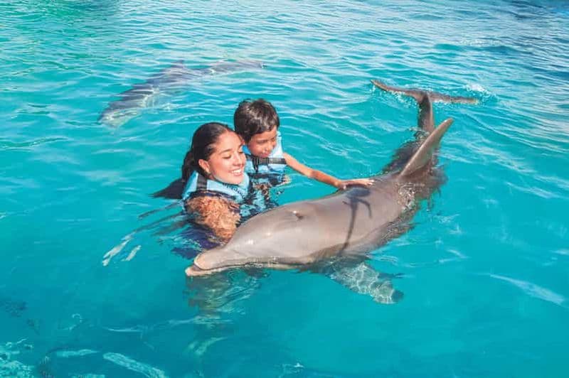 Billet Cancún : rencontre avec les dauphins et buffet à la boîte de nuit Isla Mujeres