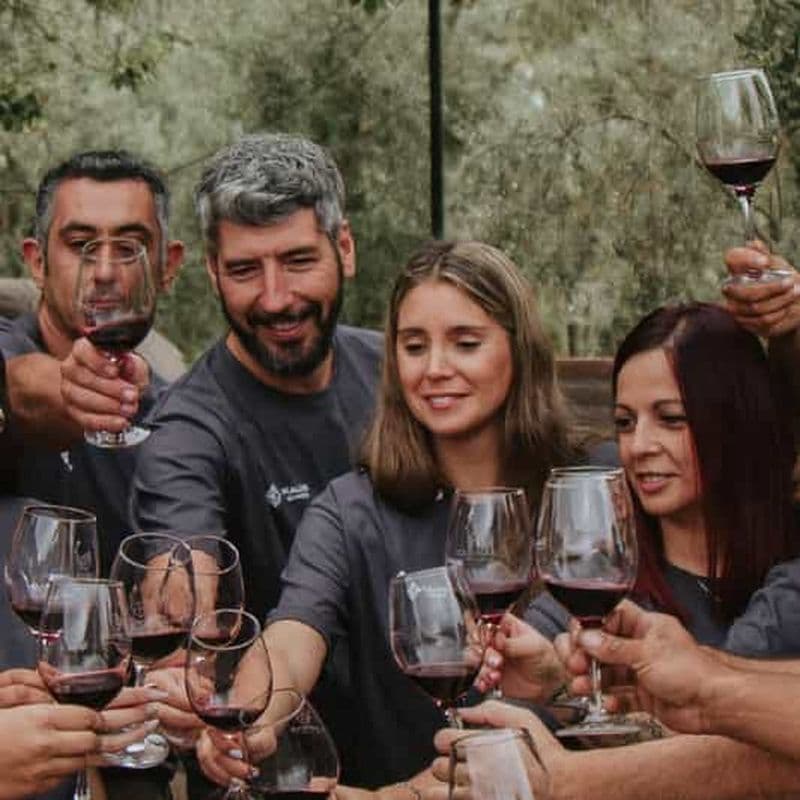 Billet Mendoza : Visite de dégustation de vins avec déjeuner et transport privé