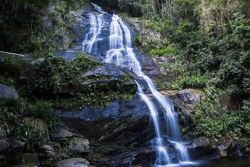 Billet Rio de Janeiro : Visite guidée du jardin botanique et de la forêt de Tijuca