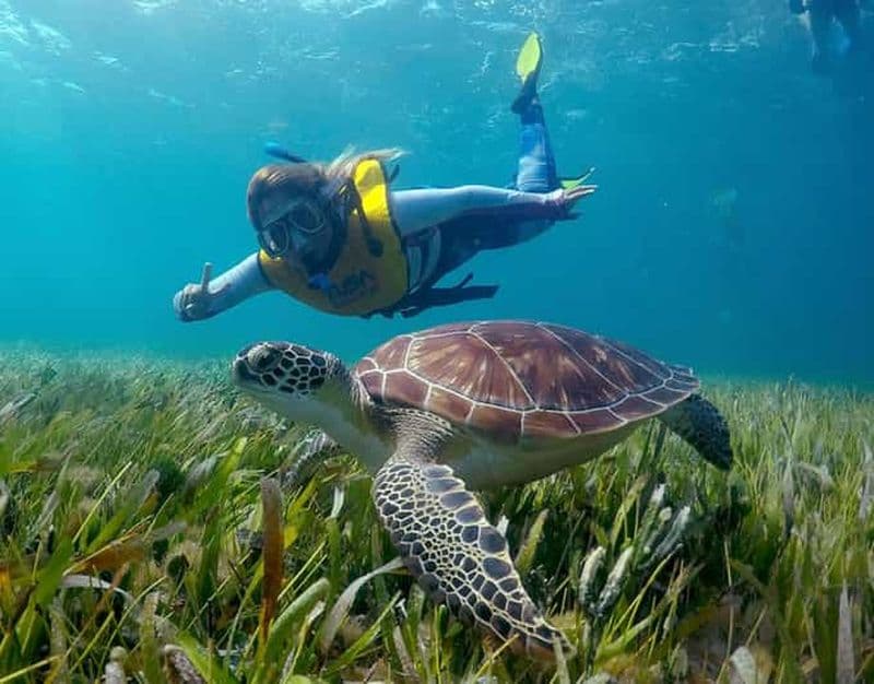 Billet Cancun : Excursion en bateau avec masque et tuba