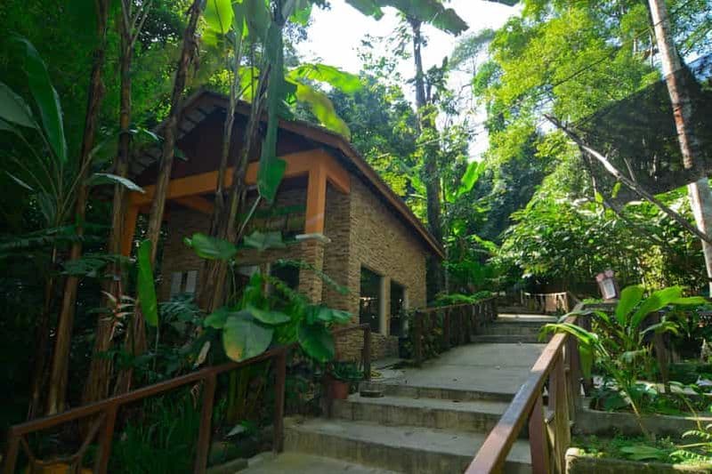 Billet Depuis Kuala Lumpur : Visite privée de Taman Negara