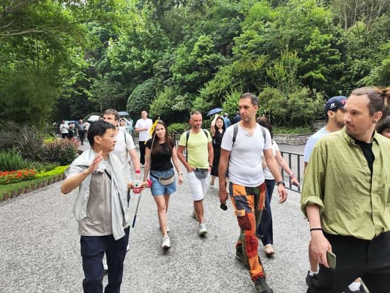 Billet Visite d'une journée à la base des pandas et au bouddha de Leshan (ou visite d'une demi-journée à la rencontre des pandas)