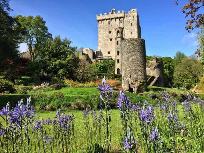Billet Cobh/Cork : château de Blarney et visite à pied gratuite de Kinsale