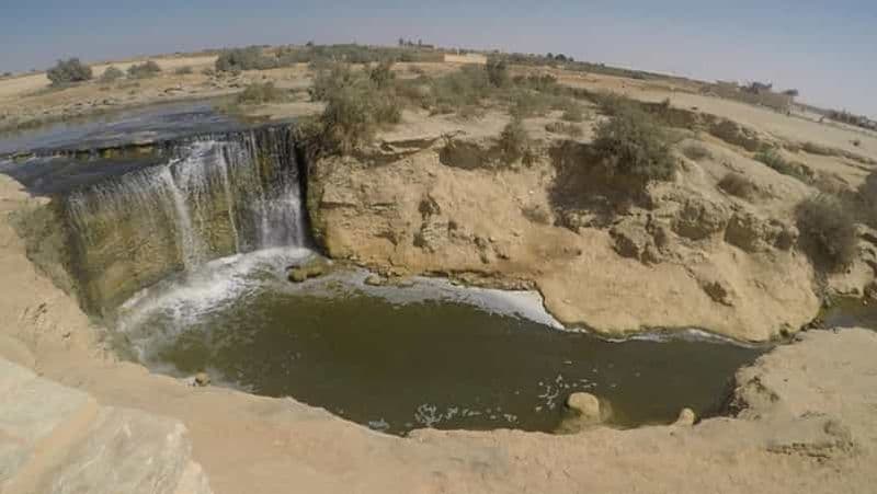 Billet Le Caire : Fayoum, Wadi El Rayan et Wadi al Hitan en 4x4
