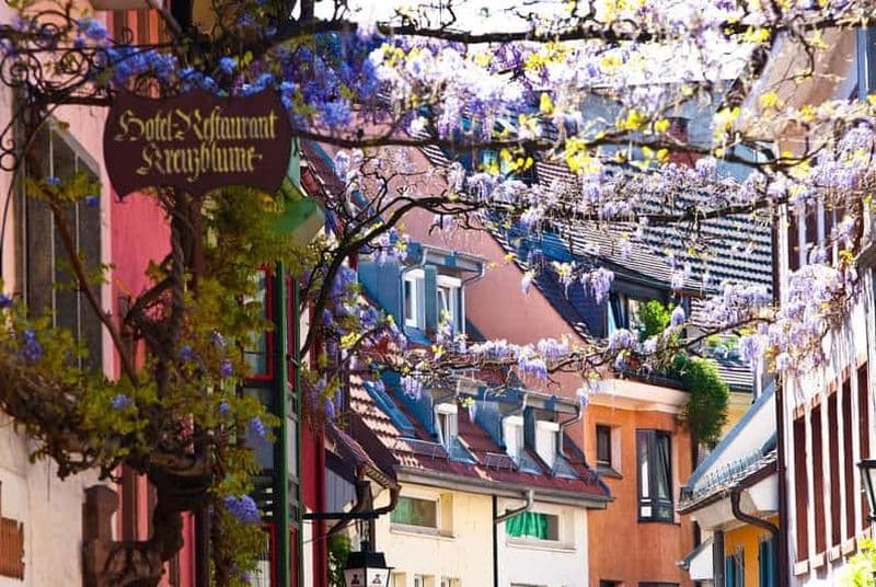 Billet Fribourg : Gässle, Bächle et autres visites de la ville