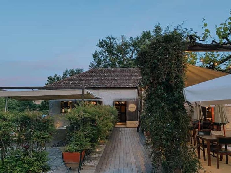 Billet AMARANTE : Atelier de peinture et repas de 8 plats avec dégustation de vins