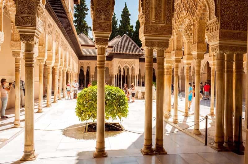 Billet Visite guidée de l'Alhambra et des palais nasrides avec accès rapide