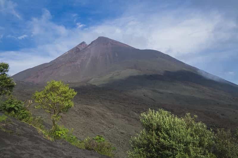 Billet Depuis Guatemala City ou Antigua : Excursion d'une journée au volcan Pacaya