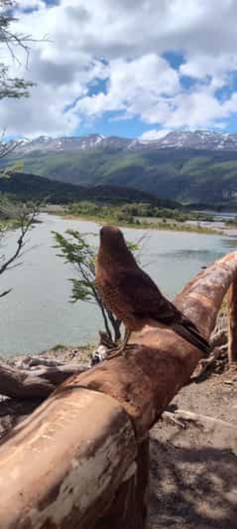 Billet PARC NATIONAL DE LA TERRE DE FEU ET TRAIN DU BOUT DU MONDE