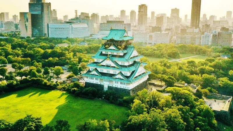 Billet Osaka : visite à pied de l'histoire du château / entrée à la tour du château